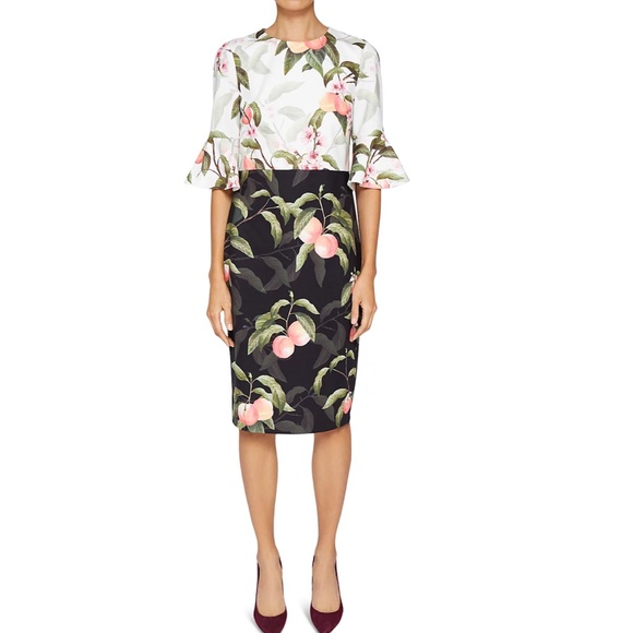 Ted Baker Areea Peach Blossom Ruffle Dress, Size 10 US (Size 4 Ted Baker) - Picture 1 of 9